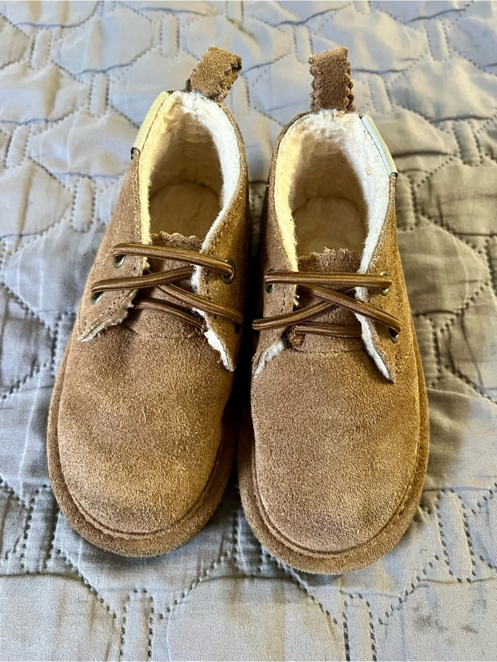 BearPaw stitched offers up